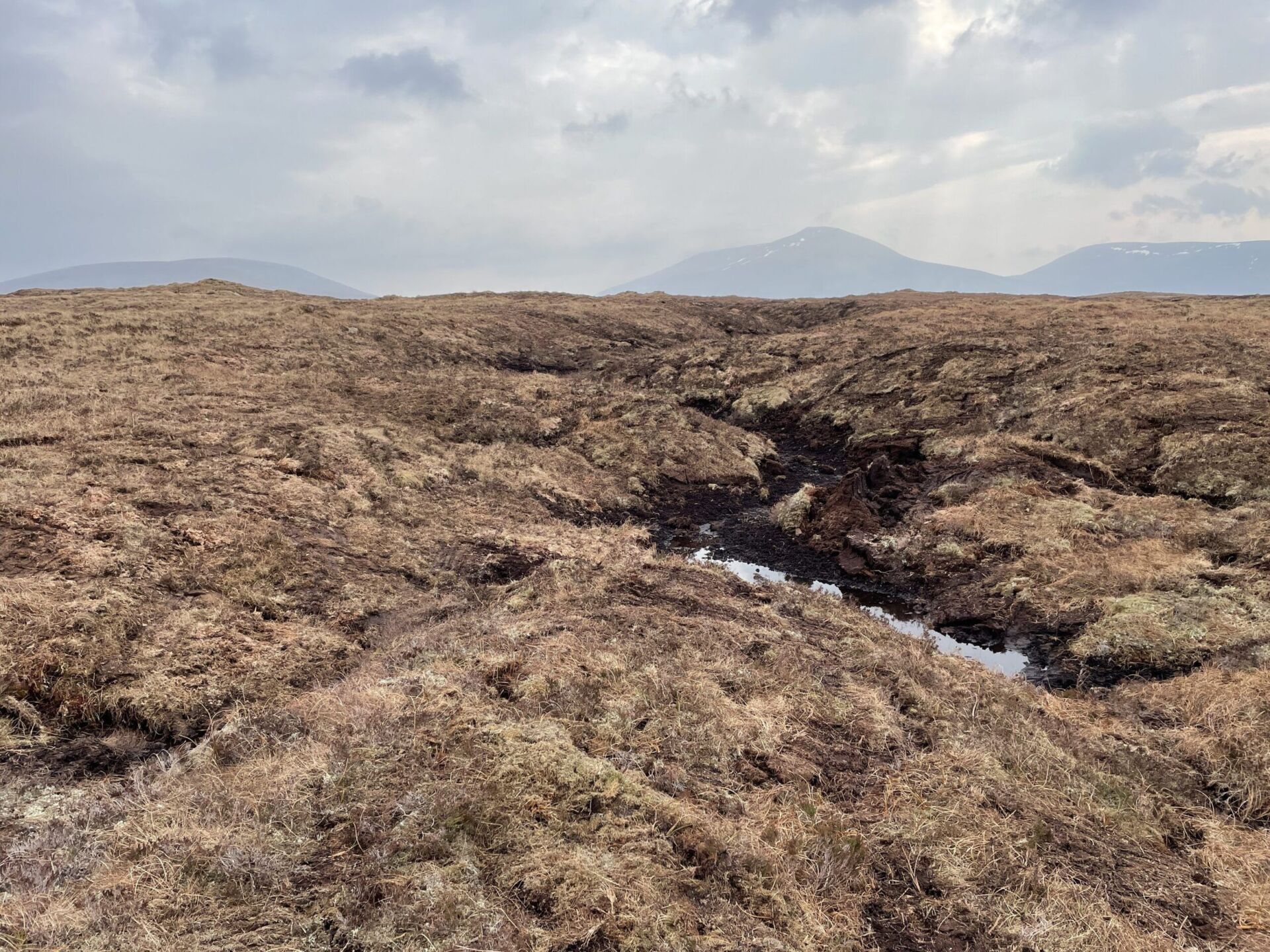 Hokle, peat gullies IMG_0847-scaled