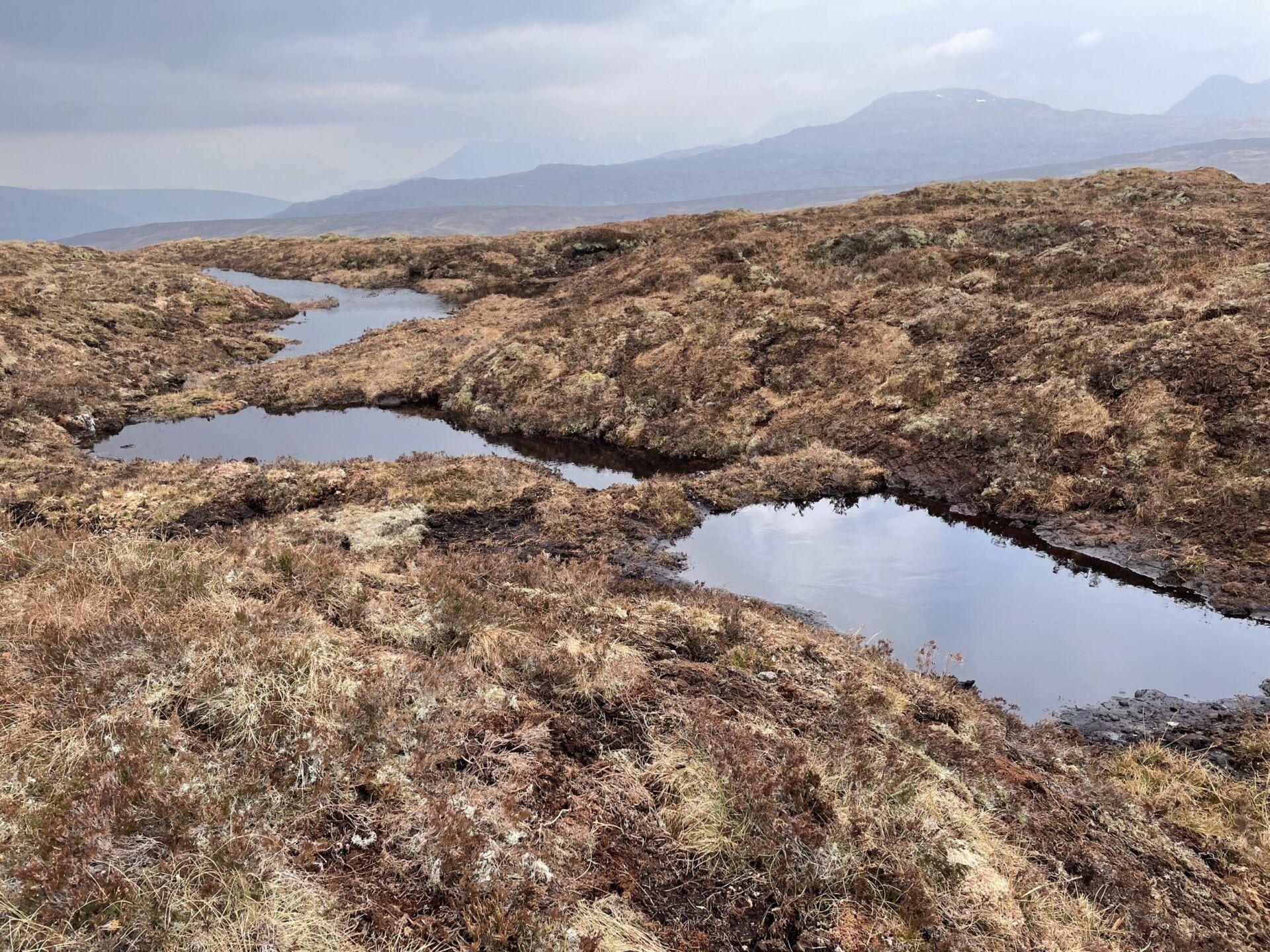 Hokle, peat gullies IMG_0872-scaled